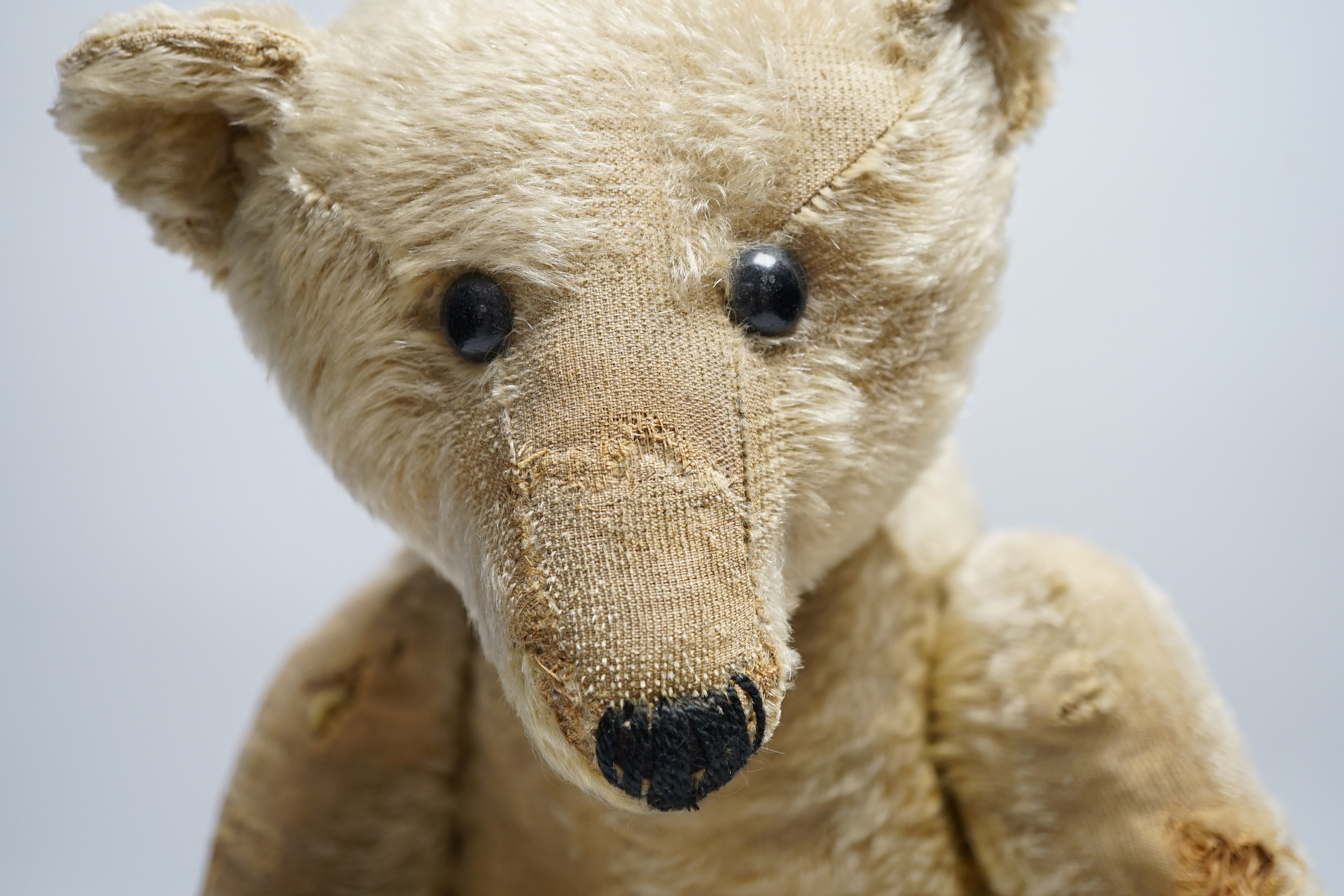 A Steiff bear c.1910, 65cm holes to front of arms, repairs to paw pads and nose, no button